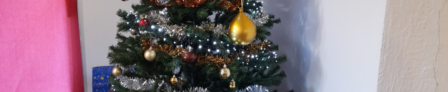 L’arbre de Noël 2023