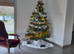 Arbre de Noël 2025