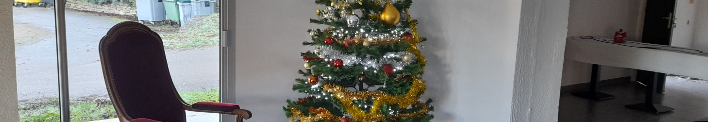Arbre de Noël 2025
