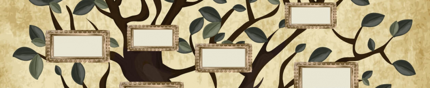 Réalisez votre arbre généalogique Réalisez votre arbre généalogique
