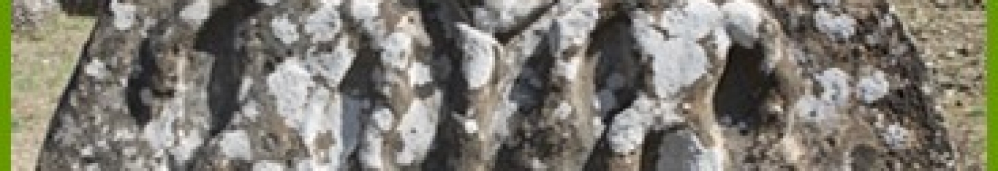 Conférence sur l’archéologie en 3D