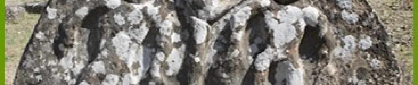 Conférence sur l&rsquo;archéologie en 3D