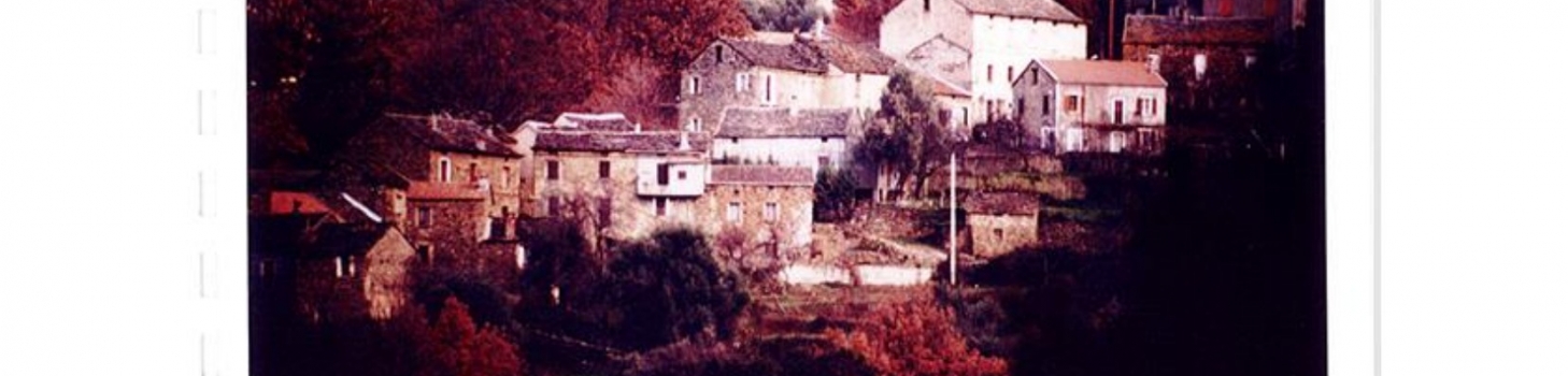 Généalogie de Valle di Rustinu entre 1769 et 1918