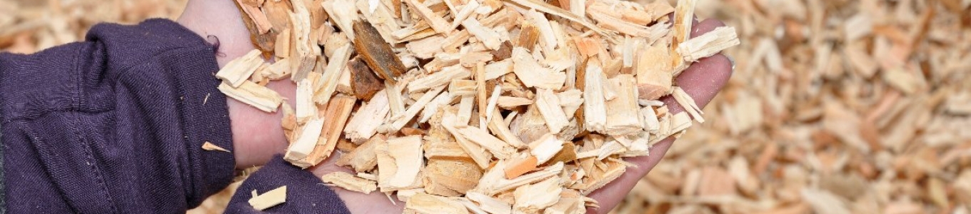 EDF: Chauffage au bois. EDF: Chauffage au bois.