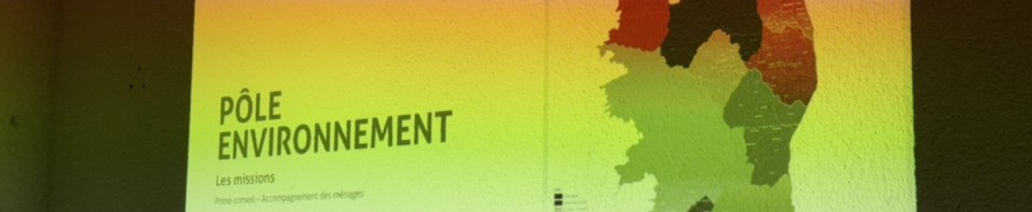 le conseil d’architecture, d’urbanisme et d’environnement (CAUE) de Corse