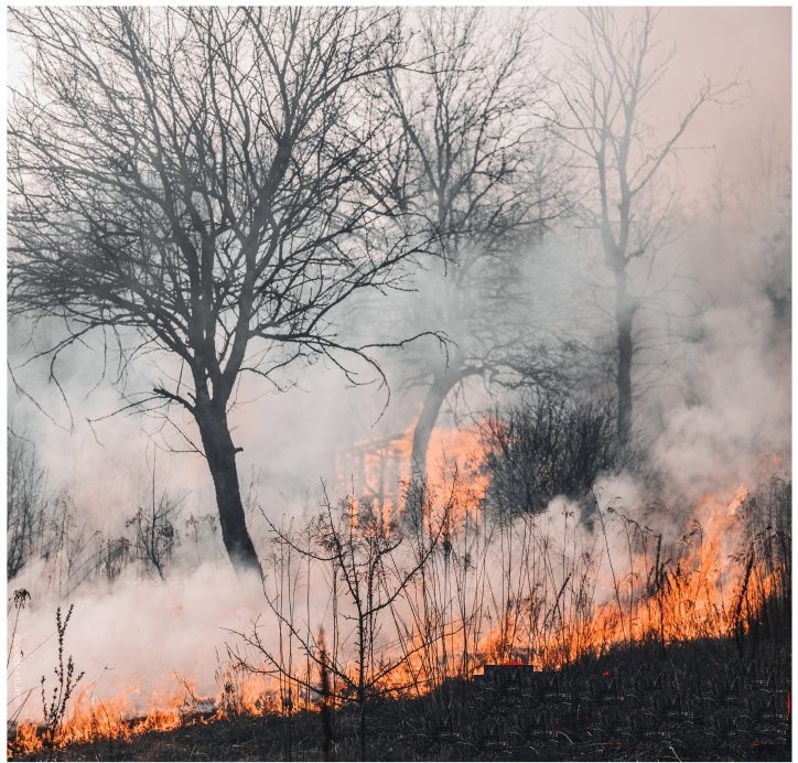 CCBDP_Incendie-724x1024
