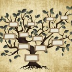 Arbre généalogique